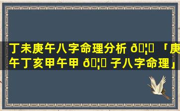 丁未庚午八字命理分析 🦄 「庚午丁亥甲午甲 🦉 子八字命理」